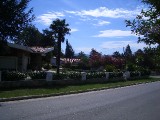 jerrythirdargentinapics 027 